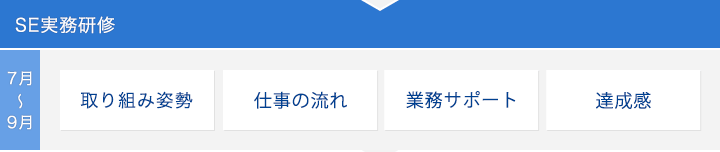 SE実務研修